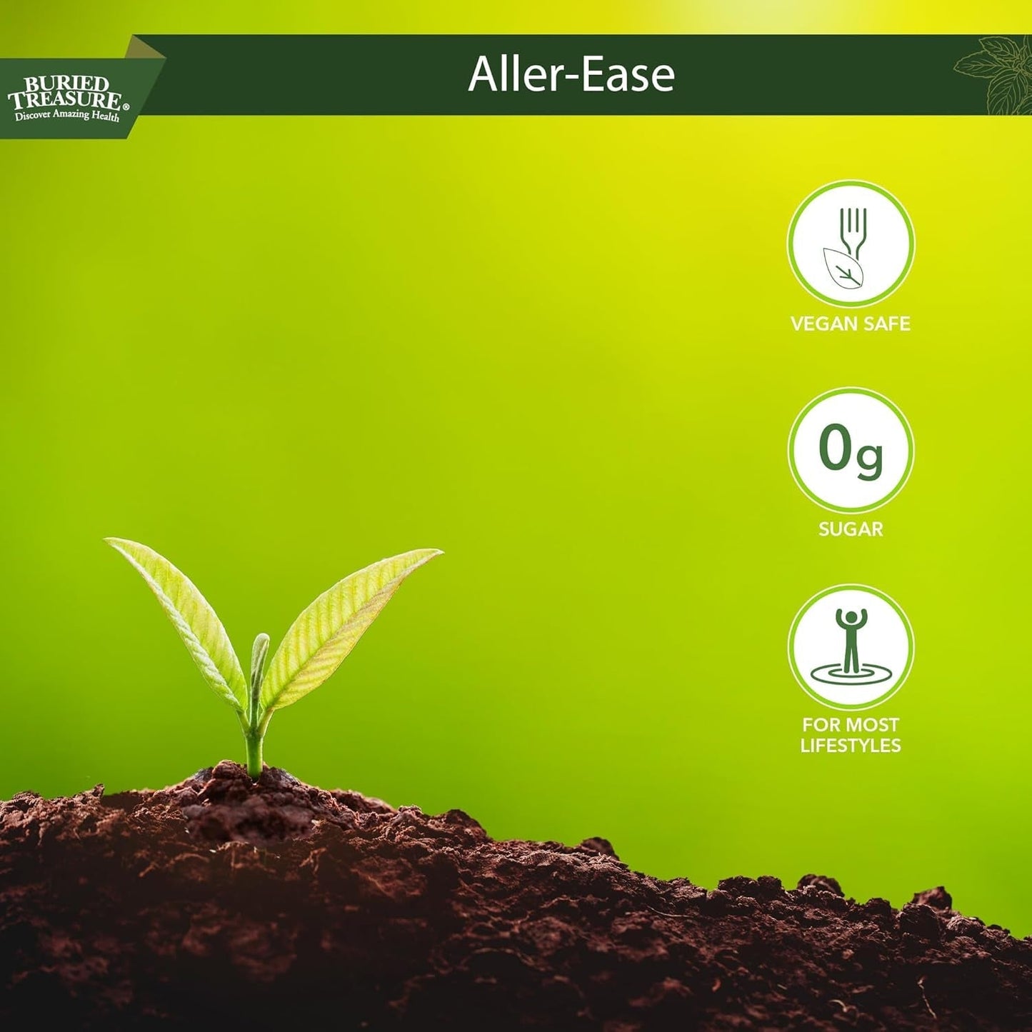 Buried Treasures Aller Ease - Supports Immune, Sinus Comfort 16 Fl Oz