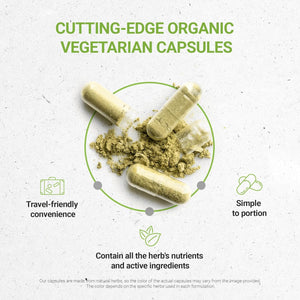 Secrets of the Tribe Wild Yam USDA Organic Capsules 1000 Mg Hormone Support Supplement (60 Capsules)