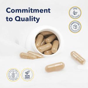 Vein Formula - Diosmin Hesperidin 1000 Mg from MPFF, 60 Capsules, Blood Circulation and Leg Vein Supplements