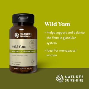Nature'S Sunshine Wild Yam | Supports and Balances the Female Glandular System 100 Capsules