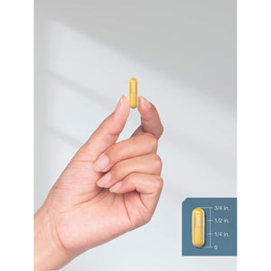 Horbäach Ox Bile Supplement | 1000Mg | 100 Capsules | Digestive Enzymes Supplement