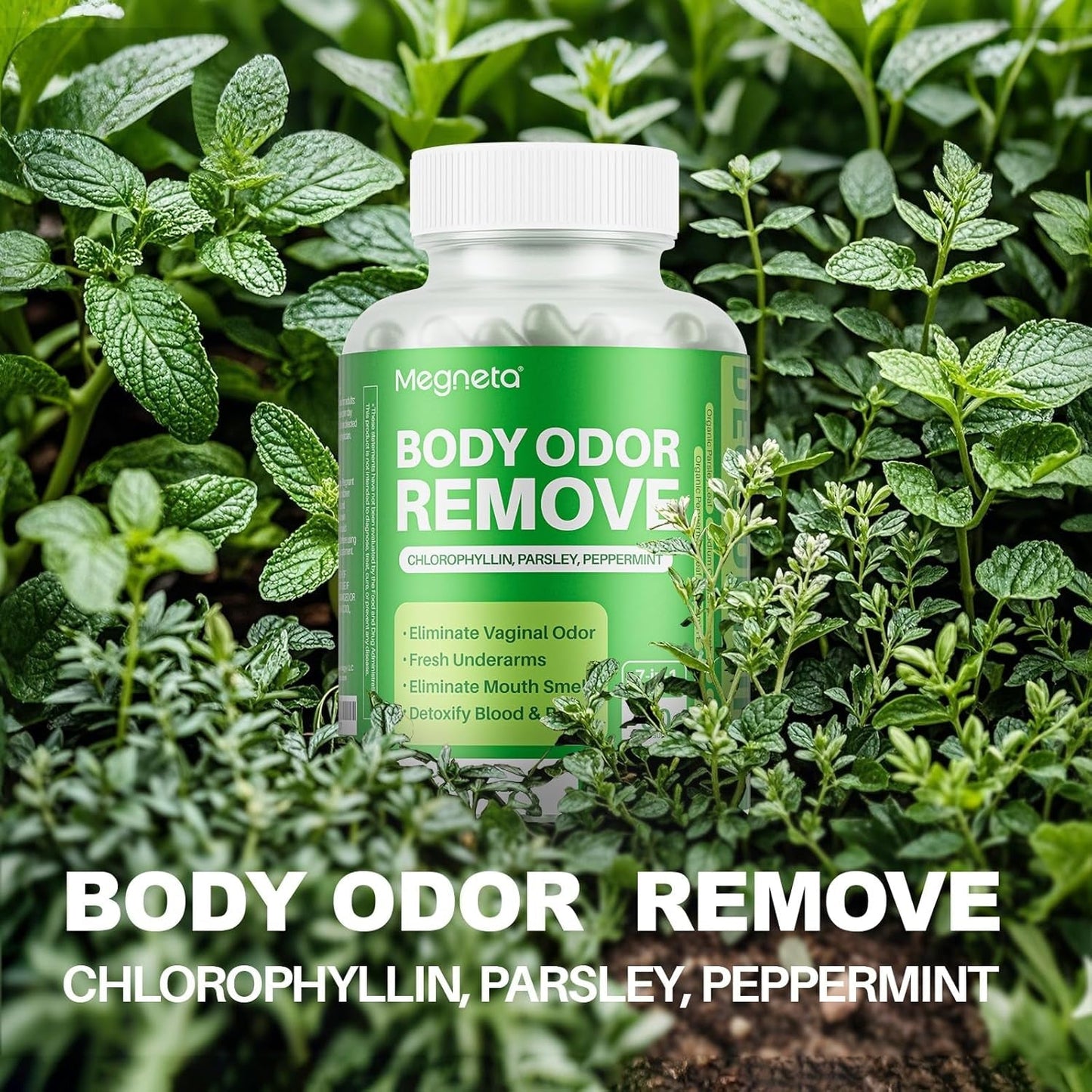 Body Deodorizing Supplement, Natural Internal Odor Control Pills for Men & Women (60 Capsules)