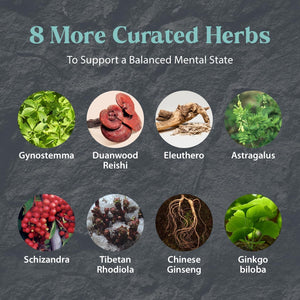 Dragon Herbs - Tao in a Bottle Capsules | Herbal Formula Supplement to Support Stress, Mood, Focus, Adaptability, (60 Capsules, 450 Mg)