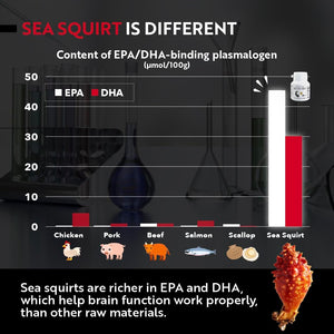 Plasmalogen Sea Squirt Supplement - Brain Health Supplement - 30 Days Supply