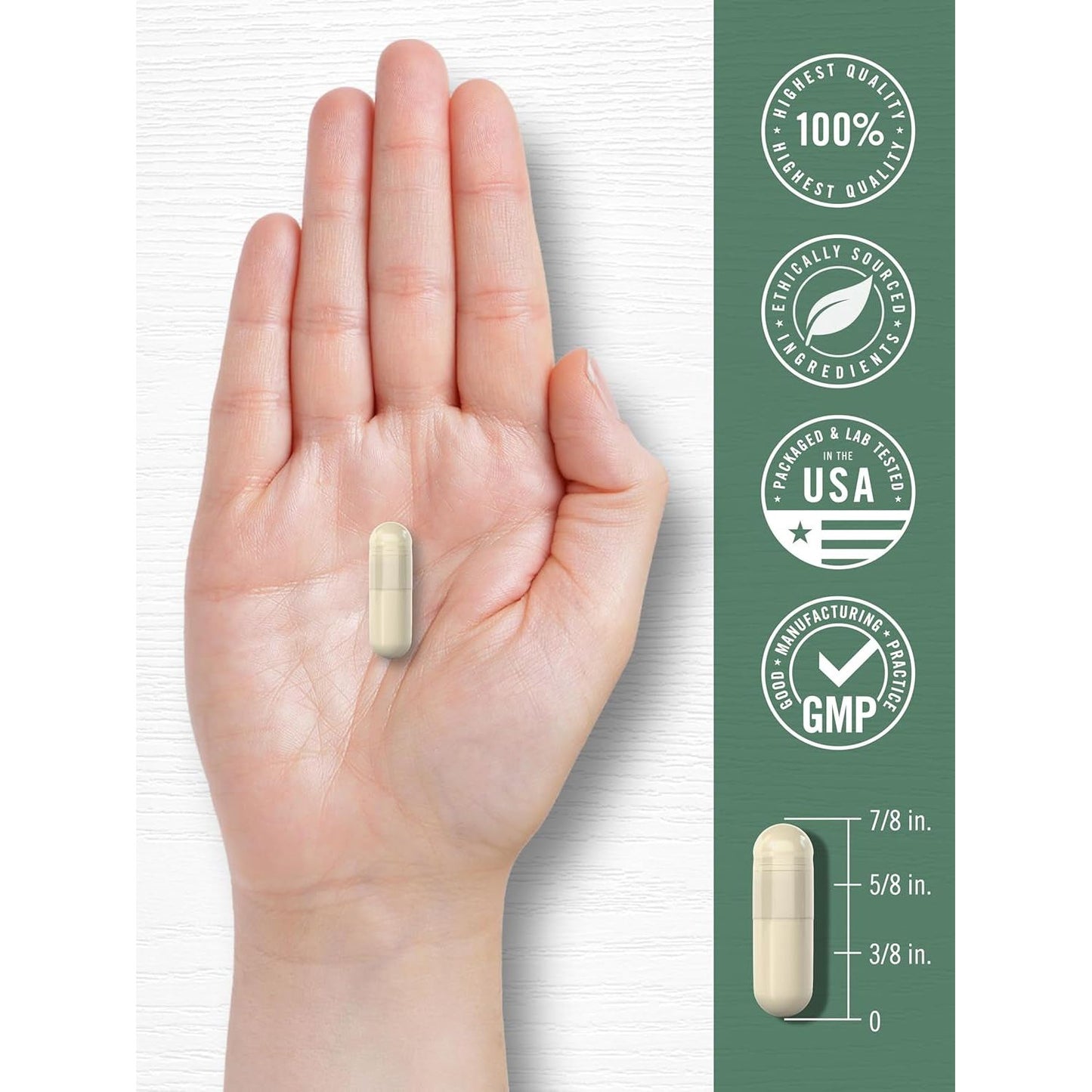 Carlyle Red Marine Algae 1600Mg | 200 Capsules | Vegetarian Supplement