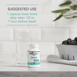 Nutricology Pancreas Pork 425Mg Supplement - Digestive Enzymes for Pancreas, Amylase, Protease, Lipase, Hypoallergenic - 60 Count