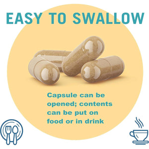 – AFP Peptizyde – Supports Protein Digestion – Increases Breakdown of Casein & Gluten Proteins 90 Capsules.