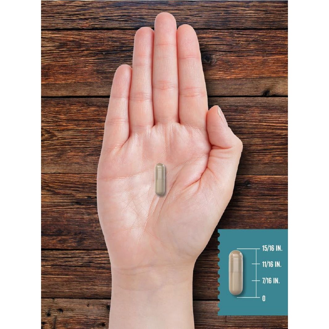 Carlyle Ox Bile Supplement | 500Mg | 60 Capsules | Digestive Enzyme by Herbage Farmstead