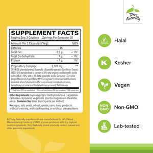Terry Naturally Curamin - Curcumin Supplement for Circulation & Endorphin Support - 60 Capsules