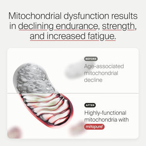 Timeline Mitopure Urolithin a | for Healthy Aging and Cellular Renewal 60 Softgels