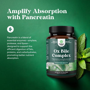 Digestive Enzymes with Ox Bile Supplement - Purified Ox Bile Salts for No Gallbladder & Pancreas Cleanse, Detox & Repair - (1 Month Supply)