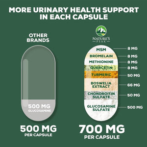 Glucosamine Chondroitin Supplements MSM Complex - 60 Capsules