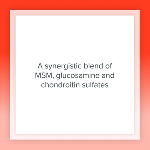 Natural Factors, MSM Joint Formula, Supports Healthy Joints and Mobility, 180 Capsules