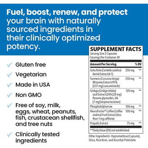 Neuroq Memory & Focus - Boosts Cognitive Performance & Healthy Brain Function - 60 Capsules