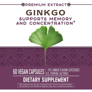 Nature'S Way Ginkgold, Supports Memory and Concentration*, 60 Capsules