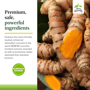 Terry Naturally Curamin - Curcumin Supplement for Circulation & Endorphin Support - 60 Capsules