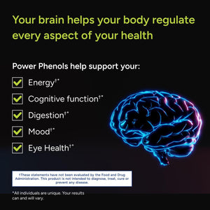 Gundry MD Power Phenols Brain Health Supplement for Cognition, Focus, Motivation, Productivity, and Energy - (30 Servings)