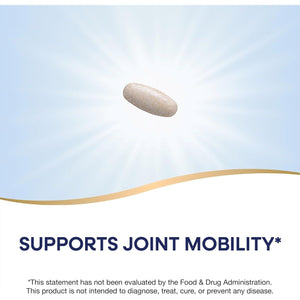 Nature'S Way Boswellia Premium Extract, Supports Joint Mobility, 307 Mg - 60 Tablets