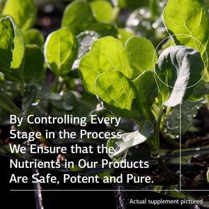 Standard Process Inc. Congaplex, Thymus Gland Support Supplement 90 Capsules