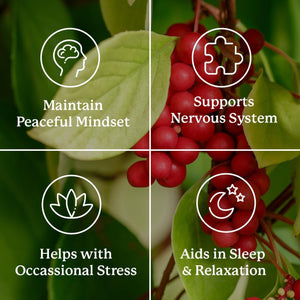 Nature'S Sunshine Nutri-Calm- Herbal Stress Relief and Sleep Aid Supplement 100 Count