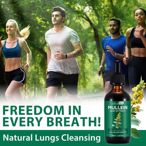 Mullein Leaf Extract Mullein Leaf Extract for Lungs Mullein Drops Mullein Leaf Lung Cleanse Supplement 2.02 Fl.Oz