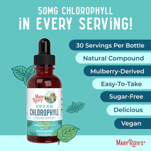 Maryruth Organics Chlorophyll Liquid Drops, Mulberry Derived Supplement for Ages 14+ Minty Flavor, 2 Fl Oz