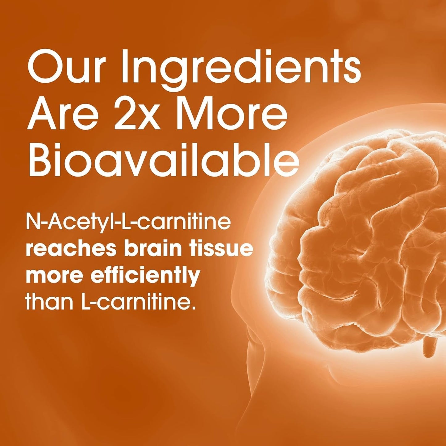 Nutrition Essentials Nootropic Brain Support Supplement - Caffeine-Free Capsules That Support the Brain