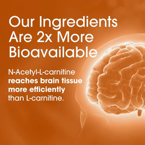 Nutrition Essentials Nootropic Brain Support Supplement - Caffeine-Free Capsules That Support the Brain