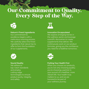 Nootropic Memory Supplement for Brain Support - Memory Pills for Brain Boost and Natural Energy Booster