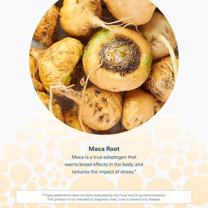 Youtheory Women'S Maca Root - Vegan Energy & Menopause Support Supplement with Peruvian Ginseng - 120 Vegetarian Capsules