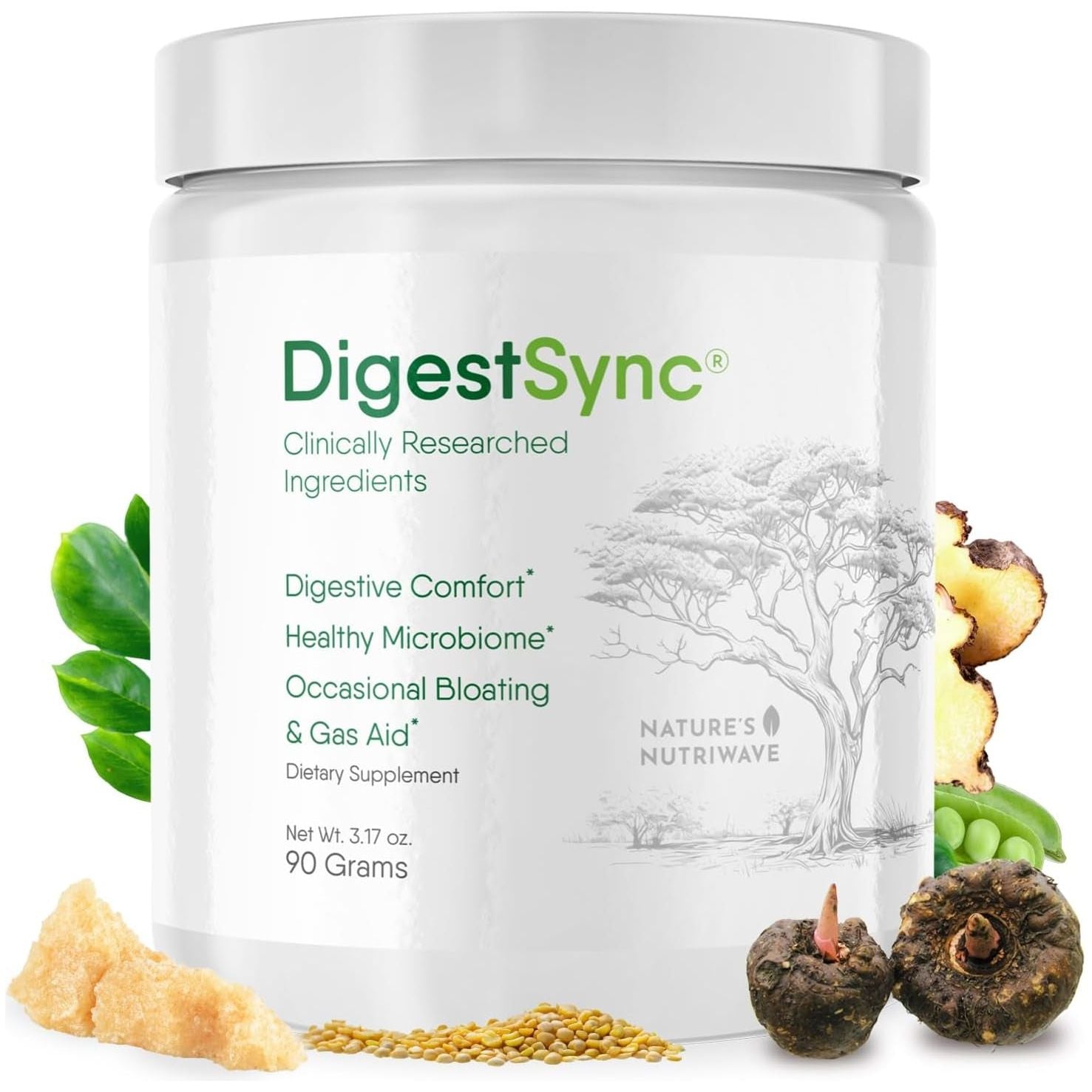 Digestsync Digestion Supplement for Gut Health - Natural Powder for Digestive Support, Bloating Relief 1 Month Supply