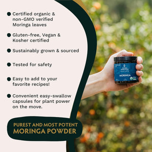 TRIBE ORGANICS 1800Mg Organic Moringa Oleifera Powder for Energy | Joints | Brain Function - 120 Vegan Capsules