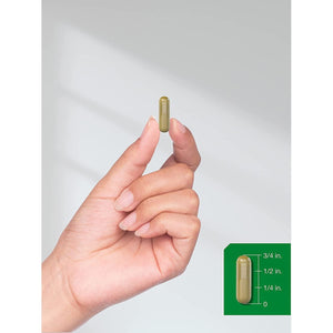 Horbäach Horsetail Herb Capsules 800Mg | 180 Count