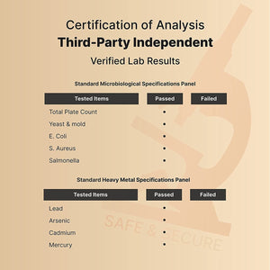 Naturebell Ginkgo Biloba 6,000Mg with Panax Ginseng 500Mg - Promotes Memory, Focus, and Brain Health 300 Capsules