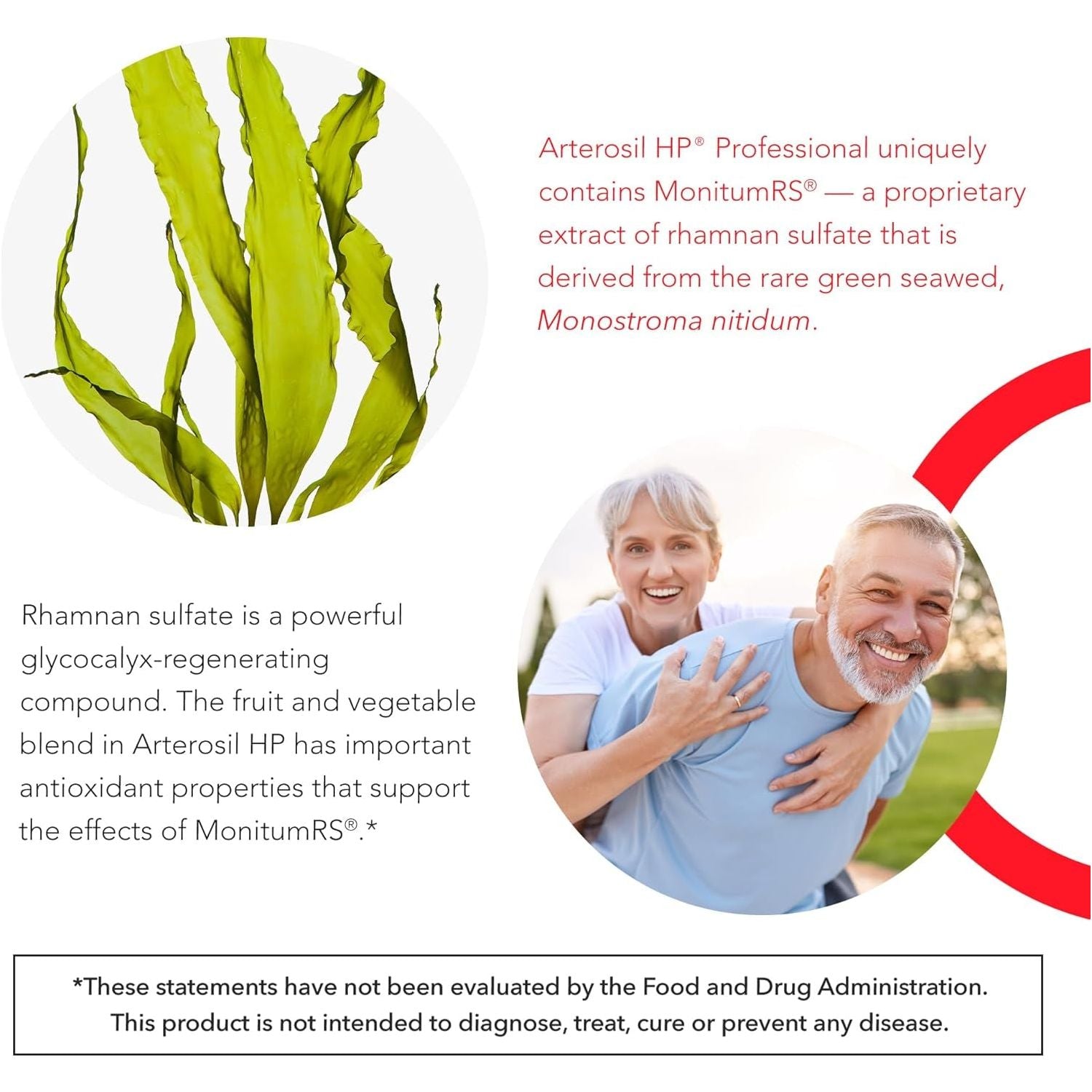 Arterosil HP Professional - Endothelial Glycocalyx Support - Heart & Artery Health Support - Circulation Support