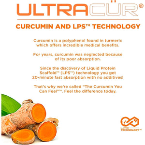 Turmeric Curcumin Supplement - Natural Antioxidant and Joint Support - 120 Vegetarian Capsules
