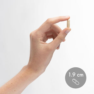 Dr. Mercola Full Spectrum Enzymes for Women, Dietary Supplement, Supports Immune and Digestive Health, 90 Capsules