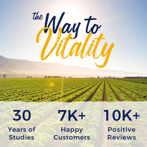 VITALITOWN Glucosamine Chondroitin MSM | Collagen, Boswellia, Turmeric, Hyaluronic Acid, Bromelain | 90 Tablets