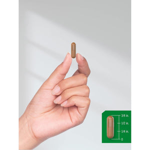 Horbäach DIM Supplement | 350Mg Complex |120 Capsules | Diindolylmethane | with Broccoli & Kale | Non-Gmo, Gluten Free