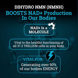 NMNH Supplement 250MG Pure Dihydro-Nicotinamide Mononucleotide for Anti-Aging & Energy