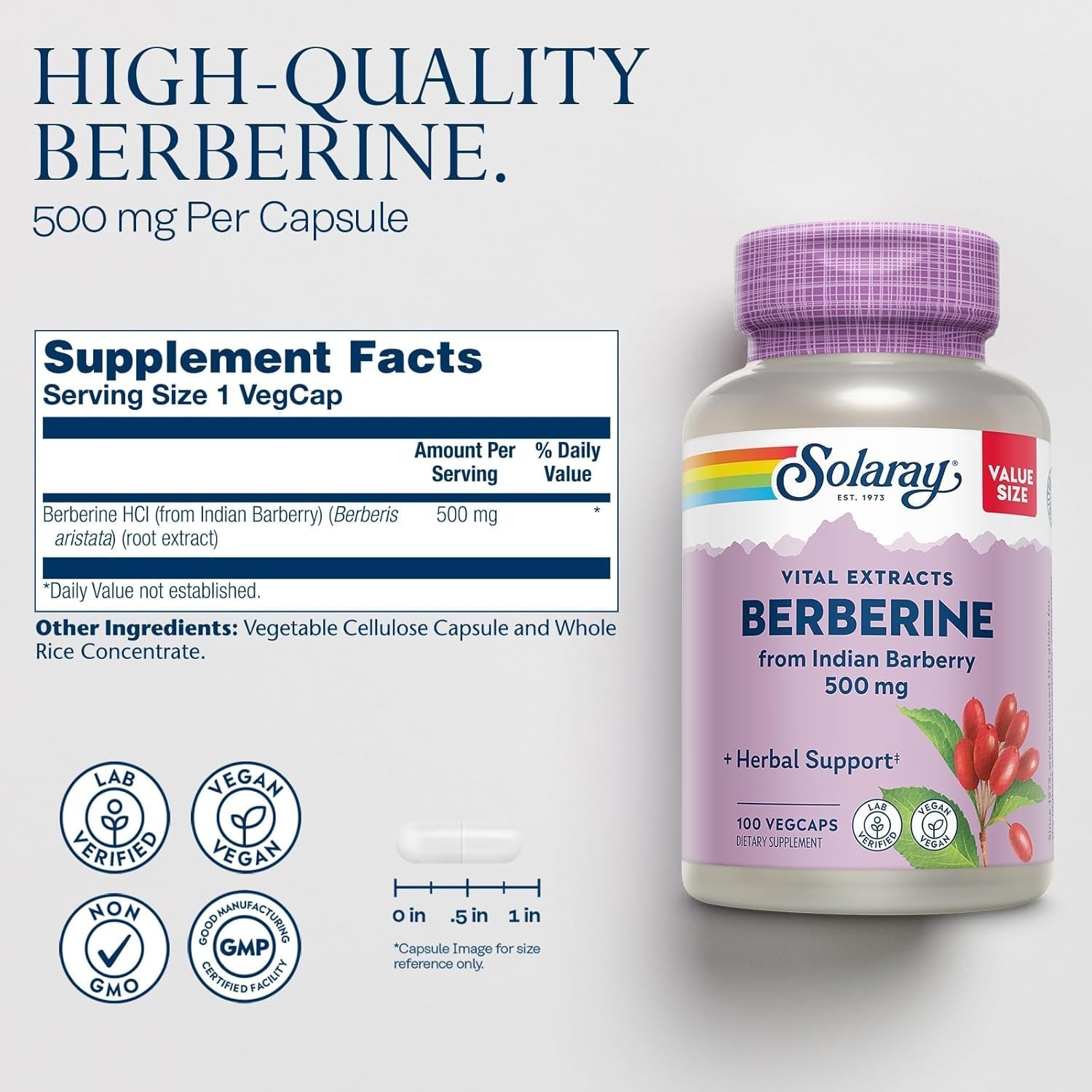 SOLARAY Berberine 500Mg for a Healthy, Active Lifestyle 100 Servings