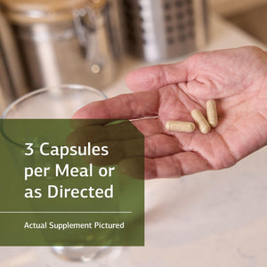 Standard Process Inc. Congaplex, Thymus Gland Support Supplement 90 Capsules