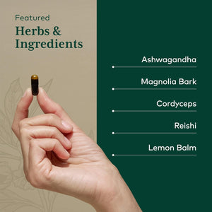 Gaia Herbs Pro Nighttime HPA - Restorative & Healthy Sleep Support Supplement (60 Servings)