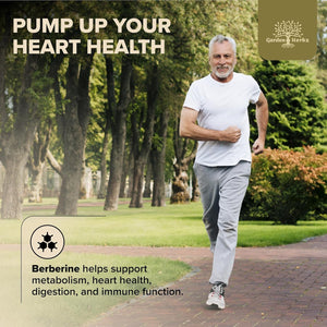 600 Mg Berberine Supplement – Berberine HCL & Ceylon Cinnamon Capsules