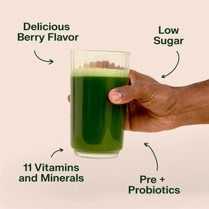 Vitahustle ONE Superfood Super Greens Powder with Prebiotics + Probiotics, Reduce Bloating, Detox, Gut Health (25 Servings)