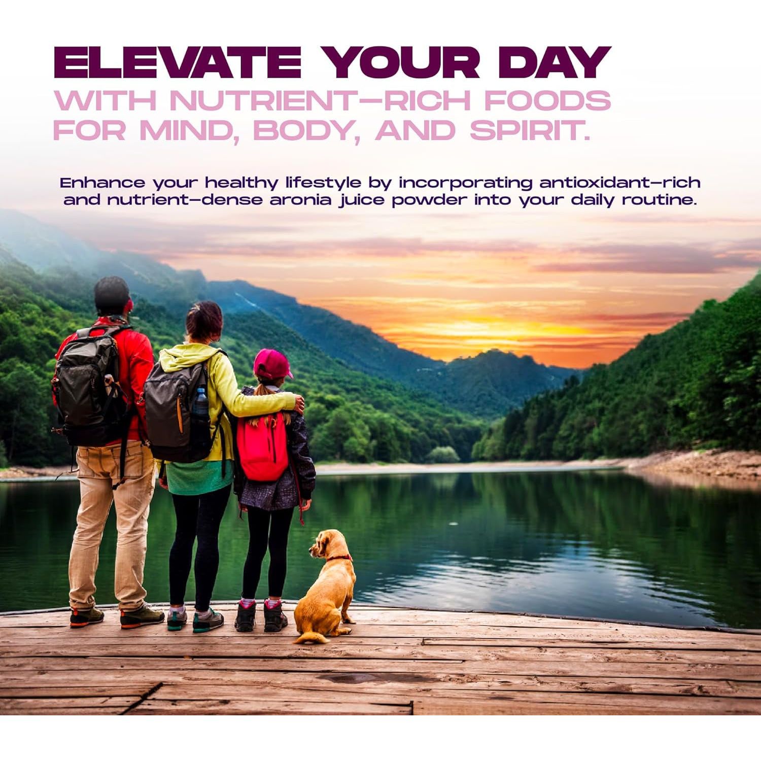 Aronia Berry 20:1 Extract - Antioxidant, Flavonoids and Polyphenols Supplement (120 of 500Mg Capsules)