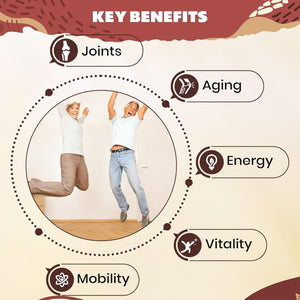 Marafiki Urolithin a Supplement 2000Mg with Glucosamine, Chondroitin, Collagen & Turmeric - 120 Capsules