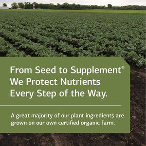 Standard Process Zypan - Digestive Health Support Supplement - Support Macronutrient Digestion - 330 Tablets