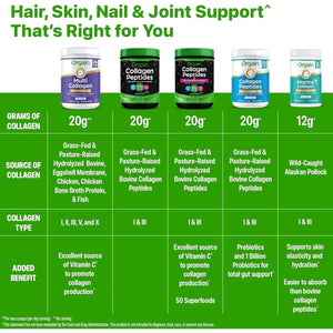 Orgain Keto Collagen Protein Powder- 10G Grass Fed Hydrolyzed Collagen Peptides, Type I & III, 5G MCT Oil 0.88Lb (Chocolate)