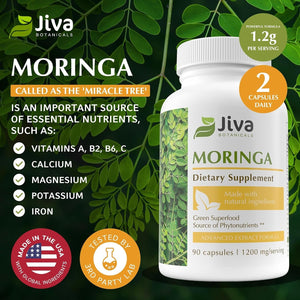 Jiva Botanicals Moringa Leaves Extract Capsules for Immune and Normal Joint Support - 90 Capsules